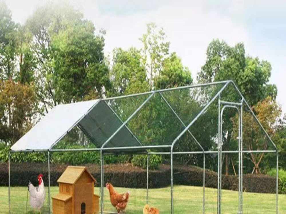 Pigeon Coop, Parrot Cage, Chichen Coop, Henhouse, The Parrot Shed, Rabbit House, Rabbit Cage, Rabbit Nest, Chichen Shed, Breeding Shed