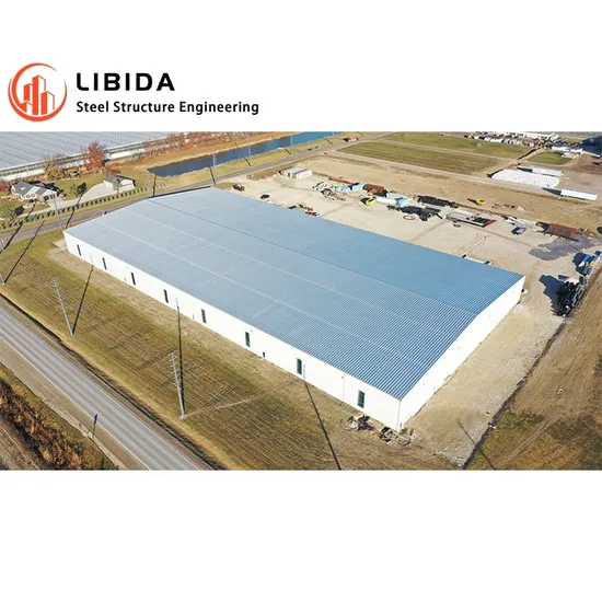 Bâtiments préfabriqués de grande hauteur de centre commercial de structure métallique de Hall