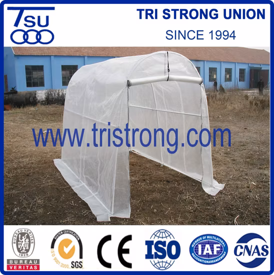 Stockage d'outils de jardin/serre/serre chaude/abri de jardin (TSU-162G)