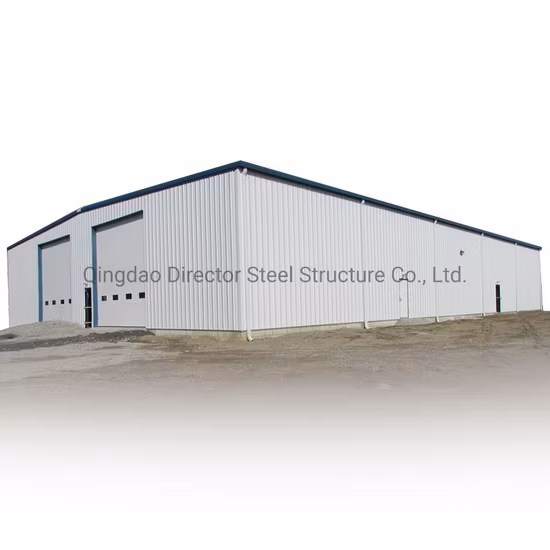 Hangar de stockage d'outils de structure en acier de preuve antirouille de la Chine de bonne qualité