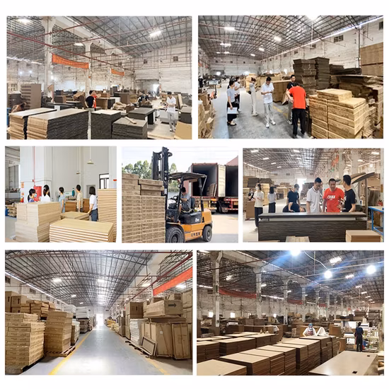 Armoire de classement en bois de nouvelle conception d'usine avec porte en verre Bibliothèque en bois avec portes en verre Armoire latérale